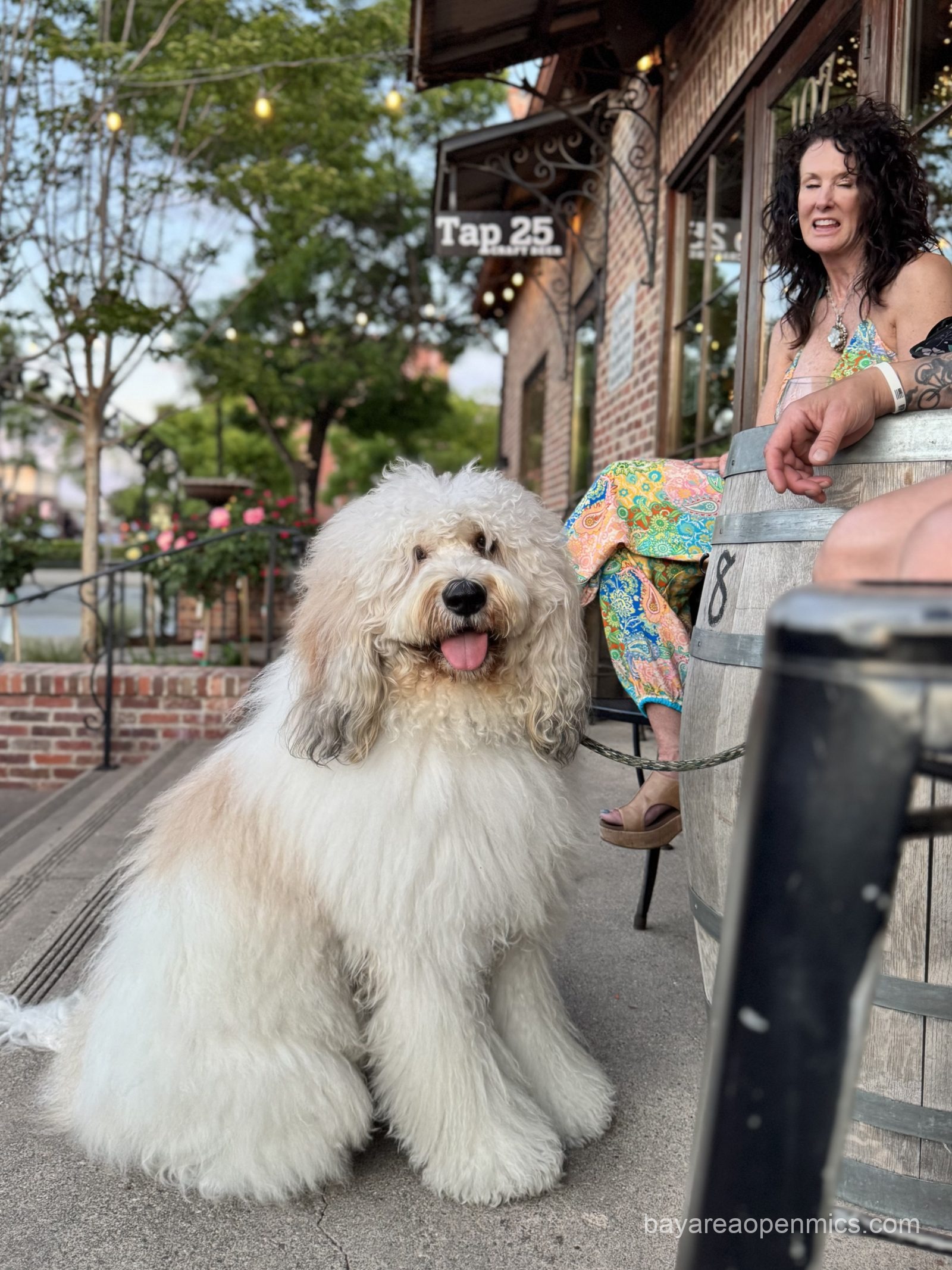 A huge, fluffy white and grey dog sits at the feet of a woman in a sun dress