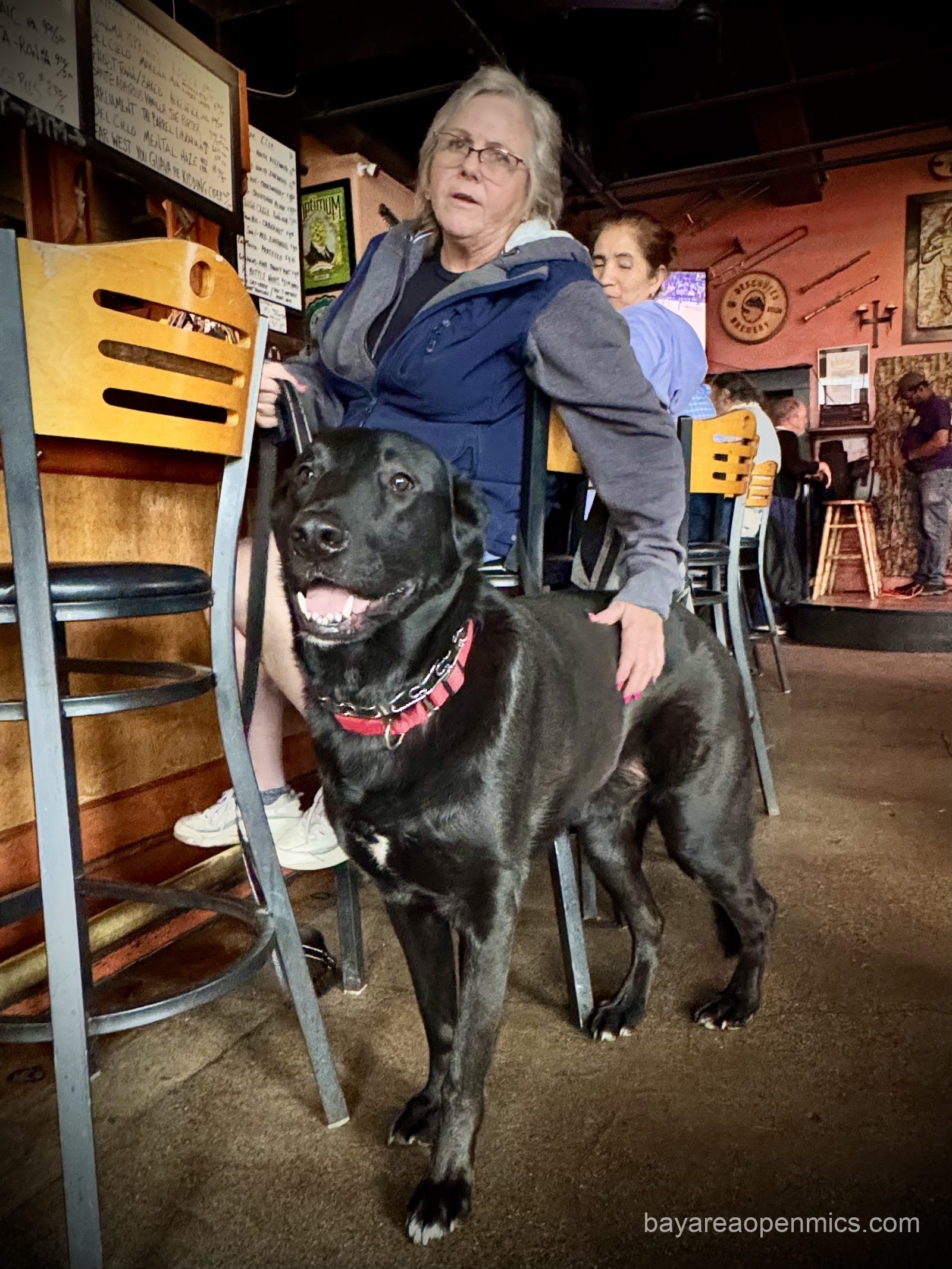 Rocky, a large labrador, german shepherd, great dane mix stands beside his owner at the Hayward Bistro Open Mic