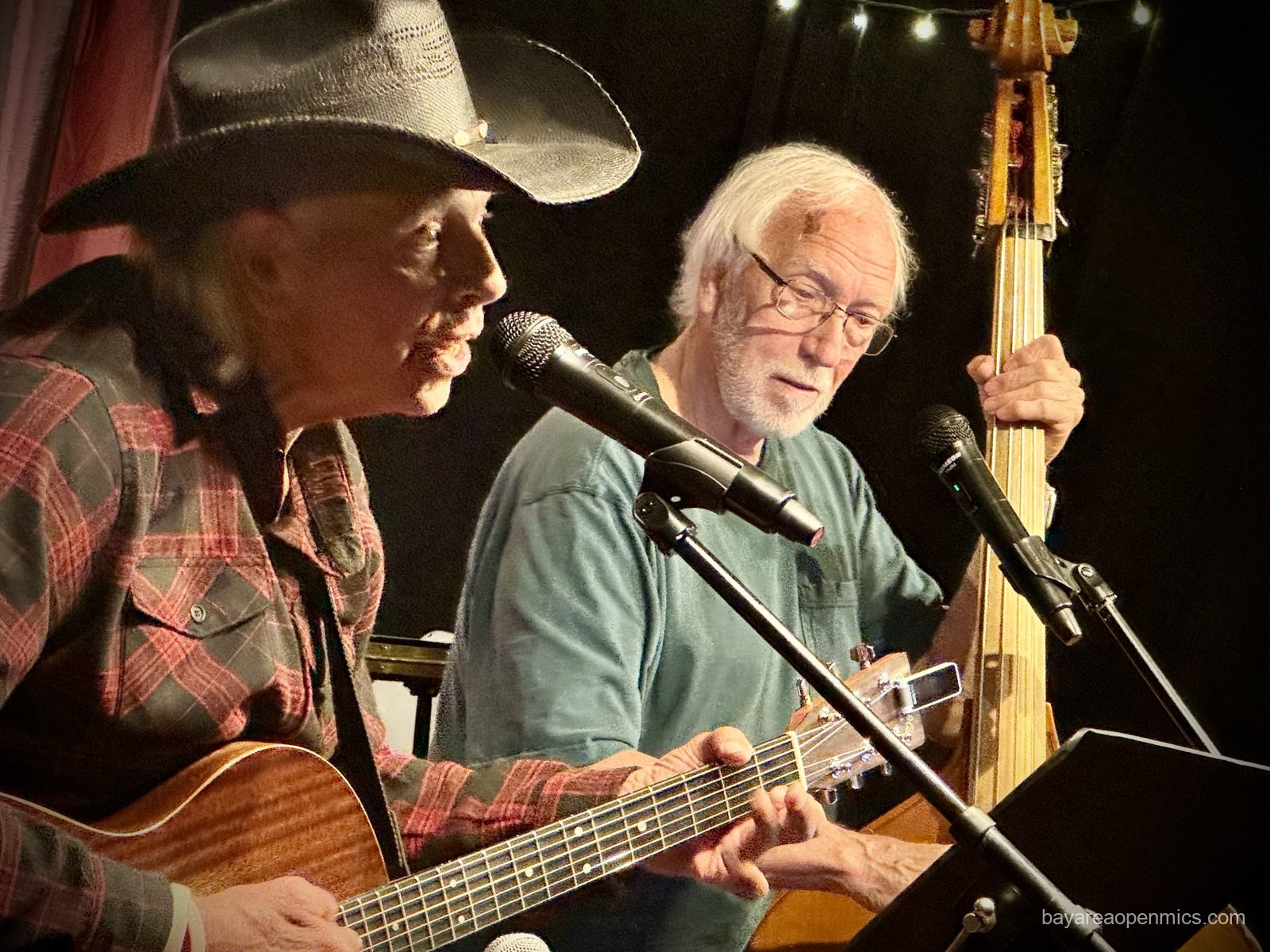 Thick As Thieves performs at the Front Porch Music open mic at Lamorinda Music in Lafayette