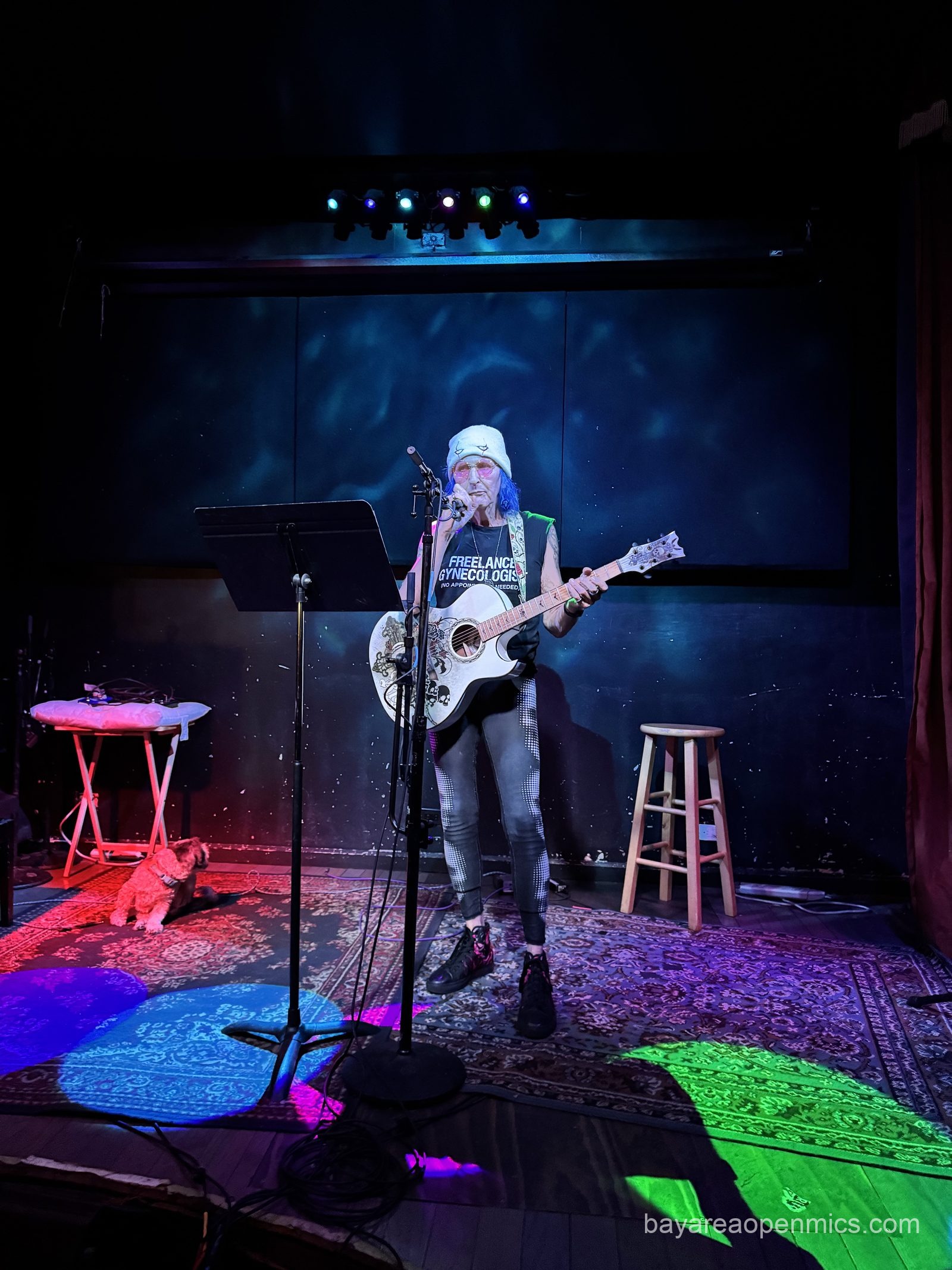 Mama D performs at the Hotel Utah open mic in San Francisco