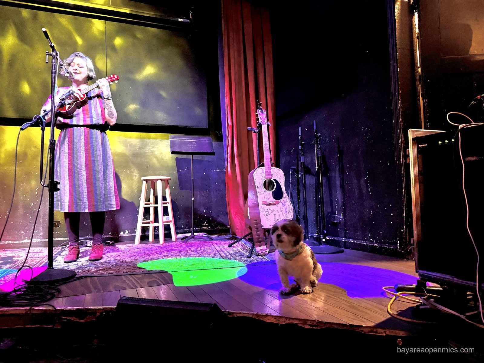 An uninvited canine performer at the Hotel Utah open mic