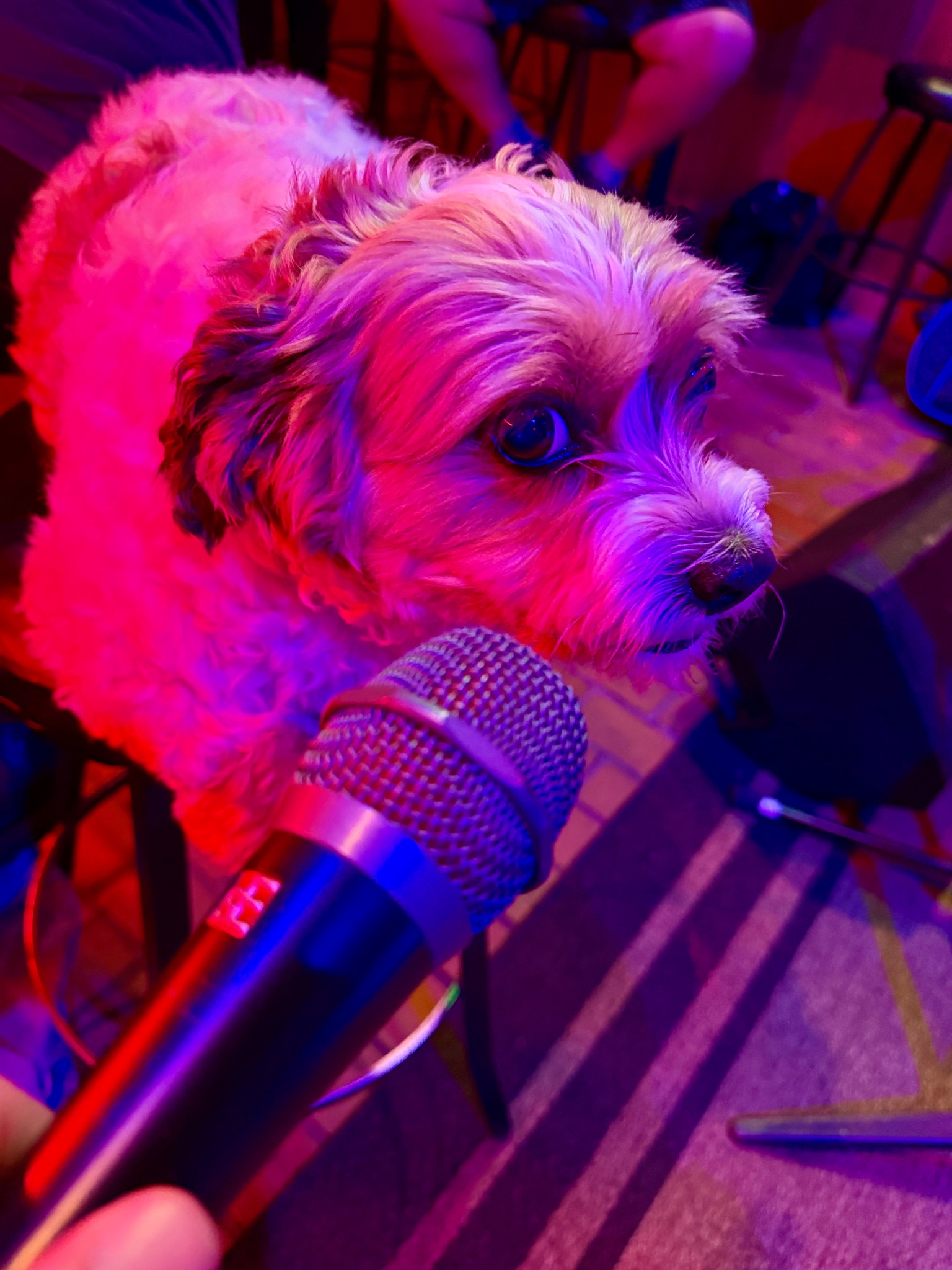 Photo of Riptide Open Mic at Riptide - casual in San Francisco, CA