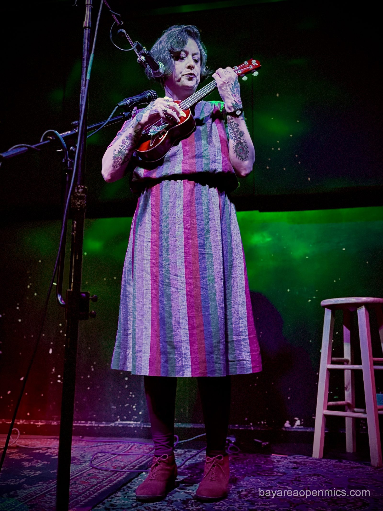 Steffy Sue performs at the Hotel Utah open mic in San Francisco